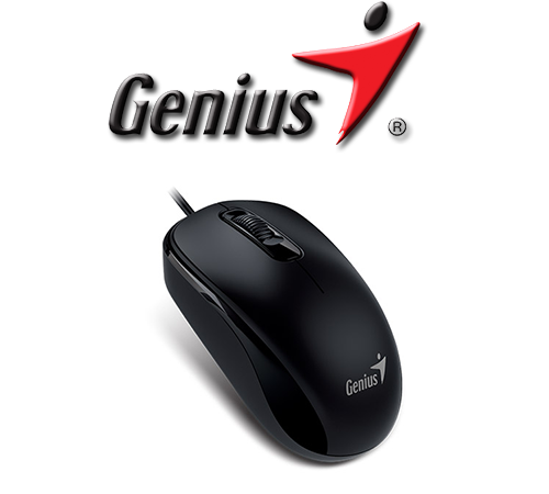 Mouse USB Genius DX-110 Negro (31010116100)