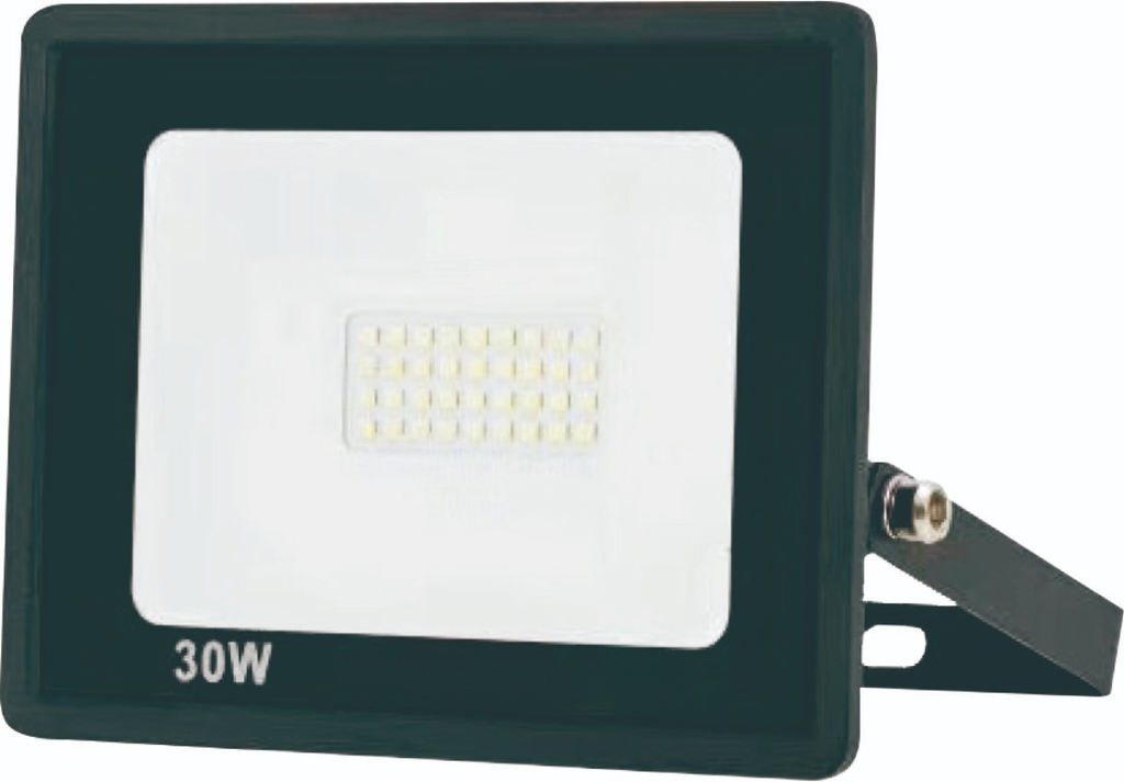 Reflector LED 30W 6500K Forest Lighting (WY20-07-30)