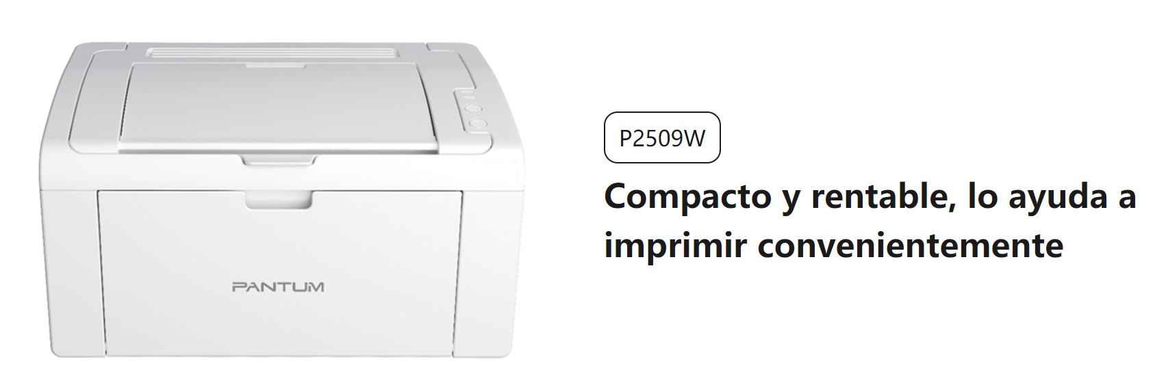 Impresora Pantum Laser Monocromatica P2509W