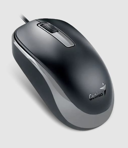Mouse Usb Genius Black+Gray DX-125S (31010027400)